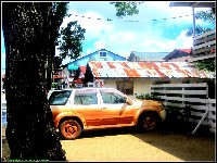 Mahonylaan - nr. 0081